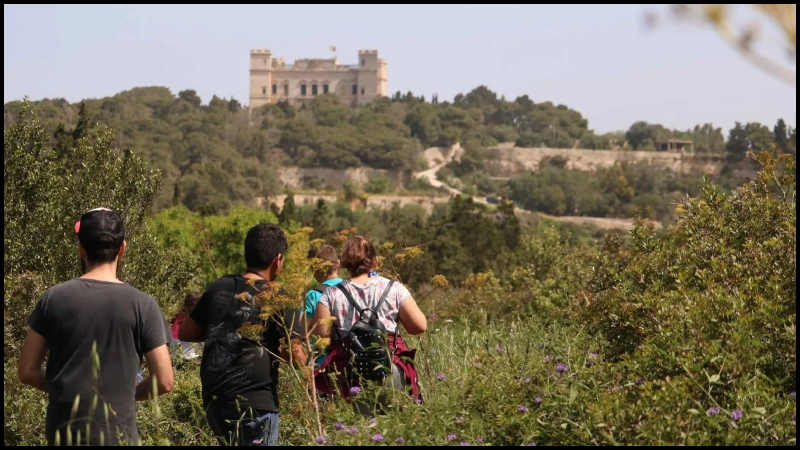 Dingli Cliffs Culture Nature Combo Reviews